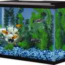 Tetra Glass Aquarium 5.5 Gallons, Rectangular Fish Tank