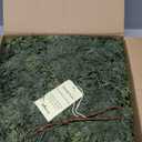 Deluxe 6FT Christmas Garland  Real Touch Norfolk Pine Garland for Mantel, Staircase, Arches, and Holiday Decor, Artificial Greenery (Norfolk Pine Garland, 6Feet)