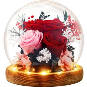 Preserved Flowers Birthday Gifts for Women Forever Rose Gifts for Mom Grandma Wife Valentines Mothers Day Christmas Anniversary Eternal Light Up Red Roses in Glass Dome