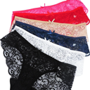 Sunm Boutique Sexy Lace Women's Underwear, Cheeky Panties for Women, Seamless Bikini for Ladies 4 Packs XXL