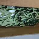 Olive Tree 6FT Fake Tree Faux Plants Indoor with Pot Artificial Tree Nearly Natural Olive Branches and Fruits for Living Room Home Office Decorations