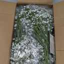 50 Pcs Baby Breath Artificial Flowers, Fake Babys Breath Gypsophila Flowers Bulk, Realistic Artificial Flowers Bouquet Flores Artificiales para Decoracion for Wedding Party Home Decoration