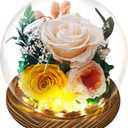 Preserved Real Rose Gifts for Her- Forever Champagne Rose in Glass Dome with LED for Women Mom Girlfriend Grandma Wife Birthday Mother's Day Christmas Valentines Day Gifts