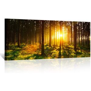 KREATIVE ARTS Silent Forest in Spring with Beautiful Bright Sun Rays Canvas Prints Morning Scene Landscape Painting Giclee Art Work Long Pictures for Wall Decorations 20x48in