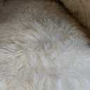 OLANLY Cream Round Rugs for Bedroom - Machine Washable, 8 ft Circle Area Rugs for Living Room, Soft and Fluffy Shaggy Carpet for Teen Girl and Boys, Nursery Rooms, Dorms, Home Decor Aesthetic