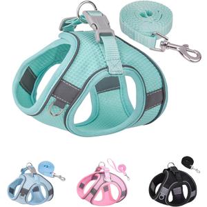 Solmoony Dog Harness for Small Medium Dogs No Pull, Puppy Harness and Leash Set, mesh Dog Harness. (Green, XS)
