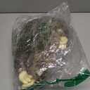 Very Soft Three Toed Sloth Plush Stuffed Animal Toy 12.5 inch