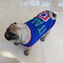 GabeFish Dog World Cup T Shirt Pets Football Jersey Sports Soccer National Team Vest Cat Summer Cool Clothes Apparel Italy Medium