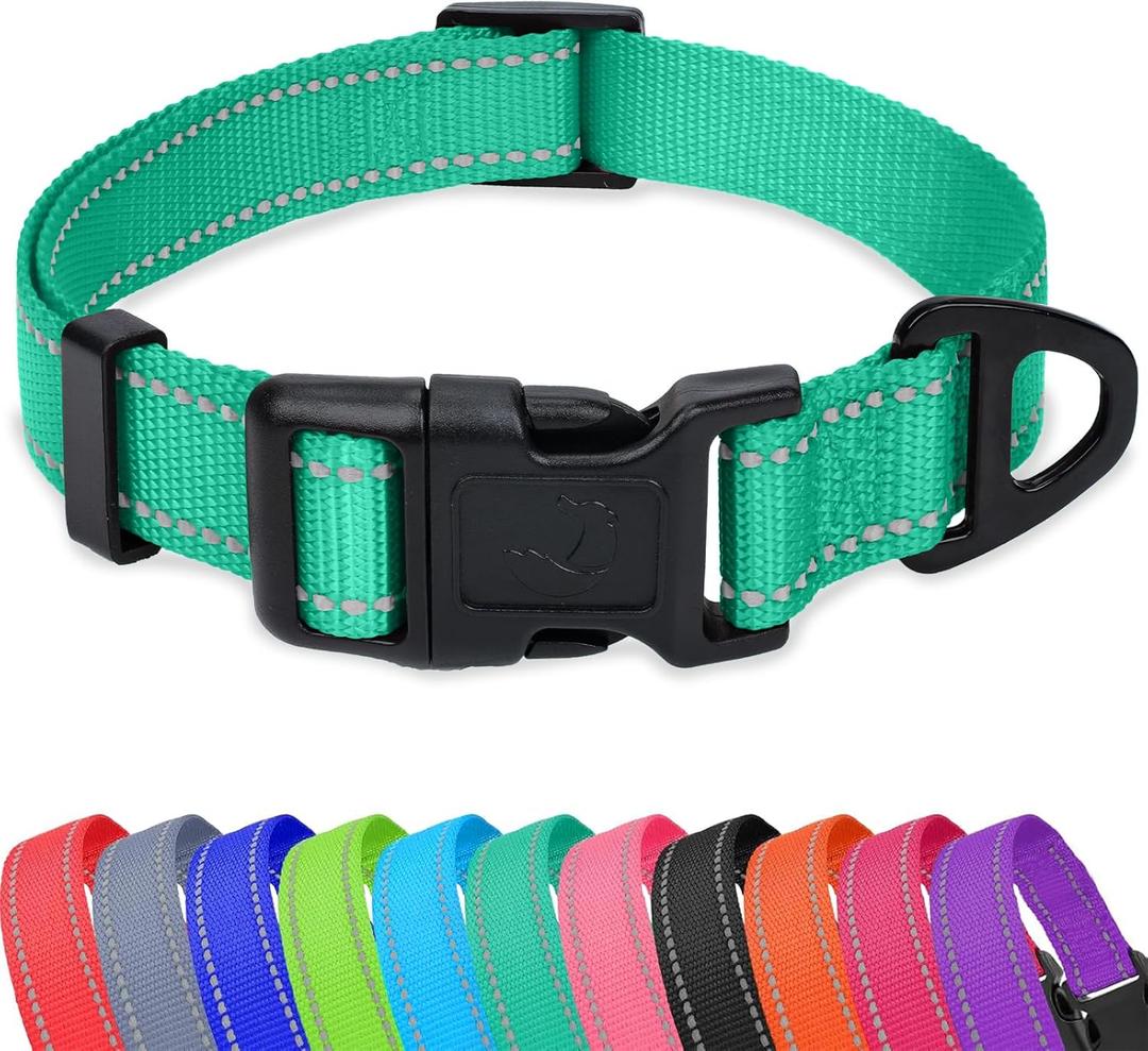 Taglory Reflective Adjustable Dog Collars for Puppy Small Medium Large Dogs, Thin Nylon Webbing and Quick Release Plastic Buckle(Teal Green, X-Large) (XL(1.25"x18-28"))