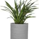 MEGASKET Grey Plant Basket, Woven Basket Planter for 10 inch Pot, Round Indoor Tree Pot Cover, Small Gray Storage Bin Organizer, Decorative Basket for Plants and Home Decor, 11”X11”