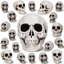 Aoriher 20 Pieces Halloween Skull Plastic Realistic Looking Skeleton Skull Human Skeleton Head Fake Decor Miniatures for Crafts Halloween Decorations for Home Table Bar Decor, 3 Sizes(Large)
