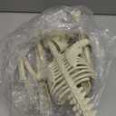 36" Skeleton Halloween Decorations, 3FT Realistic Full Body Movable Posable Joints Skeleton, Creepy Halloween Plastic Skeleton for Graveyard Decorations, Haunted House Props Indoor/Outdoor Decor