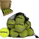 12 Pack Tennis Balls - Come with Mesh Bag for Easy Transport, Good for Beginner Training Tennis Balls Bulk, Practice Balls for Beginner, Pet Dog Playing Balls