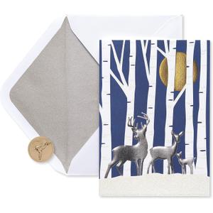 Papyrus Boxed Christmas Cards with Envelopes, Thinking of You with Warmest Wishes, Deer (12-Count)