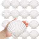 Large Natural Sea Shells 4''-5'' White Scallop Shells 8PCS for DIY Craft Making, Baking, Hand Painting, Ocean Themed Party and Home Decor