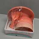 Little Table 16 Pc Dinnerware Set-Corals