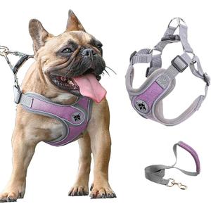 Medium Dog Harness and Leash Set,No Pull Adjustable Step in Soft Mesh Vest Harness,Easy Walk Reflective Pet Harness with Padded Handle for Walking Training Small Medium Large Dogs and Cats (Purple, M)