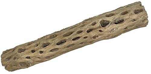 Awesome Aquatic 12 inch 2-3” Thick XL Teddy Bear/Chain Fruit/Buckhorn/Staghorn Cholla Wood Hollow Tube Wood Cactus Skeleton Tubes 12” x 2-3” Thick/Diameter (12 in x 2-3 in Diameter)