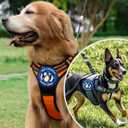 4 x Give A Stubborn Smile Wave Tactical Patch, Funny Penguin Hook and Loop Embroidered Patch, Cute Animal Morale Accessory for Jackets, Backpacks, Dog Harnesses, Army Vests, Bags and Hats