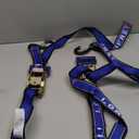 Rear TRANSOM Boat Trailer Straps Ratchet TIE Downs Strap, Made in NZ - 1.5" x 4 Heavy Duty Rear Transom with PVC Hooks for Trailered Boats, Pontoons & Jetskis - 3,300lbs Break Strength - (Pair) Blue