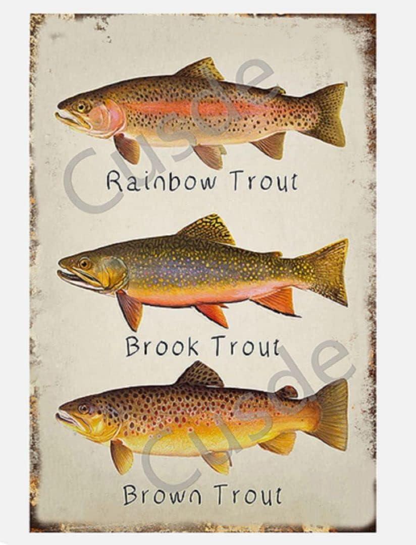 Cusde Rainbow Trout Metal Tin Sign Brook Trout Wall Art Brown Trout Vintage Retro Decoration Poster Plaques Decor Funny Novelty Garage Room Home Cafe Bar Club 8x12 Inch