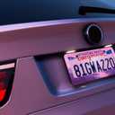 2PCS Pink Adventure Awaits Pattern License Plate Frames for Girl Women - Universal Aluminum Stainless Steel Car Tag Covers Holder with Screws, Caps, Rattle Proof Pads and Handlebar Stickers