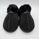 Bearpaw Shoes 11