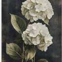 White Hydrangea Flower Canvas Wall Art | Vintage Botanical Floral Print | Farmhouse Rustic Plant Artwork for Bedroom Living Room Office Wall Decor | Ready to Hang Nature Gift | 12x15 inch