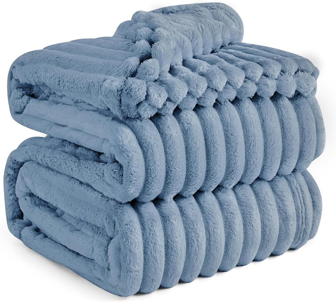 Bedsure Queen Blanket for Bed - GentleSoft Cozy Soft Blankets for Women, Cute Large Fall Throws for Girls, Ashley Blue, 90x90 Inches (Queen (90" x 90"))