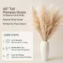 12 Stems, 40 Inch Natural Beige Dried Pampas Grass for Floor Vase Decor