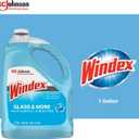 SC Johnson Professional Windex Glass and More Multi-Surface Cleaner, Windex Glass Cleaner Refill, Multi Surface Cleaner, 128 fl. oz. Bottles, 4 Count, for Professional Use Only