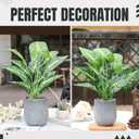 Der Rose 16'' Fake Plants Artificial Potted Greenery Faux Plants for Office Desk Home Bathroom Decor