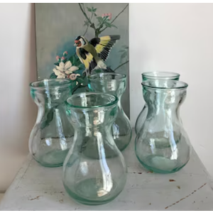 Vase Small Glass Vases Centerpieces Clear Hyacinth Growing Bud Vase 4pcs