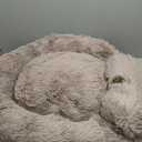 PetJett Large Dog Bed - 36'' Calming Donut Dog Beds, Anti-Slip & Washable Large Round Bed, Fluffy Faux Fur Pet Bed, Super Soft Anti-Anxiety Premium Comfort Bed, Fits Dogs up to 80 lbs - Beige