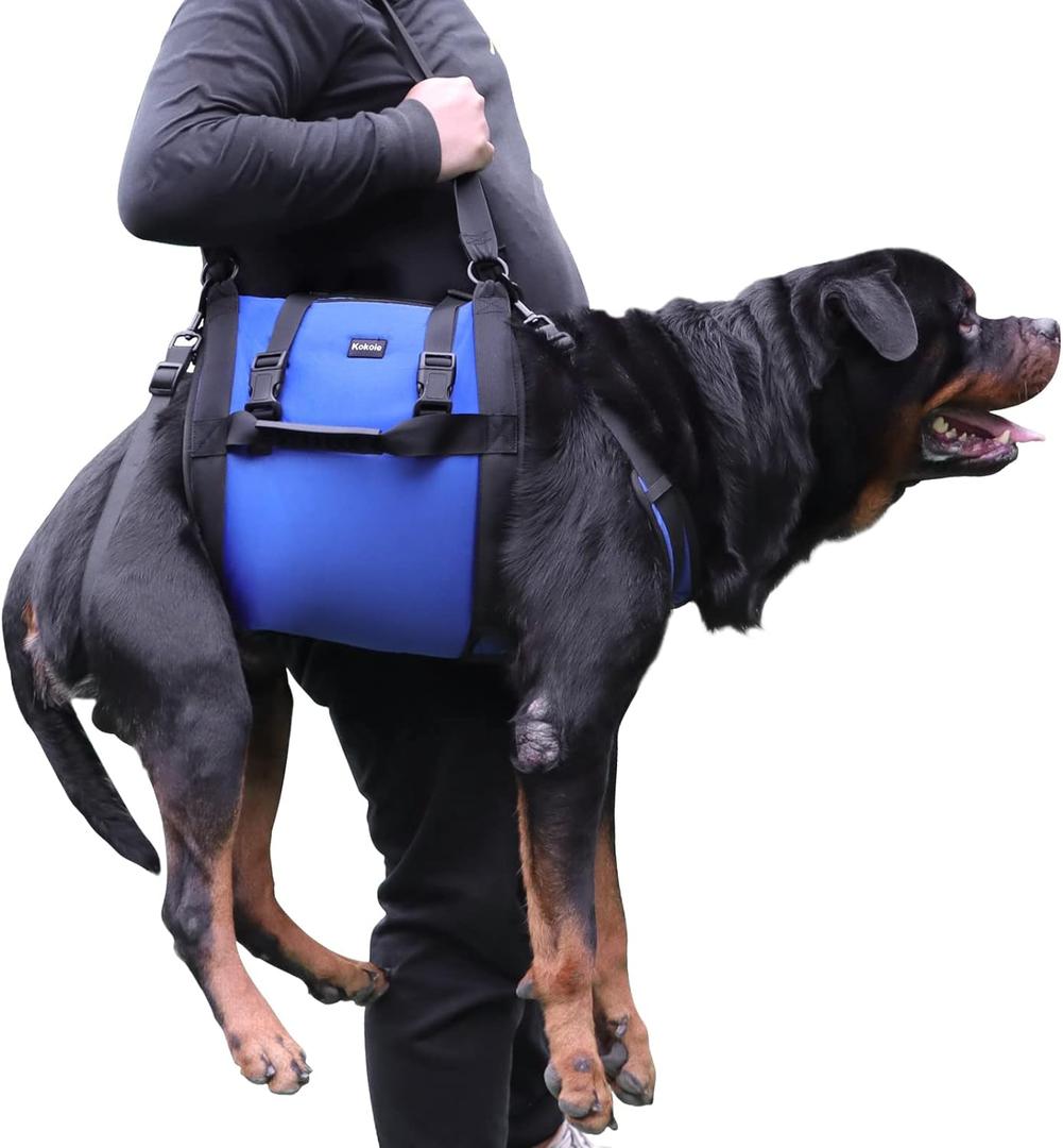 Dog Carry Sling, Emergency Backpack Pet Legs Support & Rehabilitation Dog Lift Harness for Large Dogs, Dog Carrier for Senior Dogs Joint Injuries, Arthritis, Up and Down Stairs (Blue, XXL)