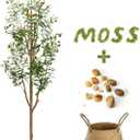 6FT Artificial Olive Tree - Indoor Tall Faux Olive Trees with Planter&Basket, Large Fake Olive Silk Tree Realistic Olive Plants with Branches and Fruits for Home Decor Office Living Room