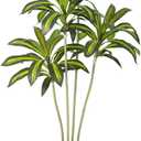 UV Resistant 6ft Artificial Dracaena Plant with Tall White Decorative Planter, 72in Artificial Dracaena Tree with Lifelike Leaves & Realistic Trunks, Tall Fake Plant for Indoor Outdoor Decor.