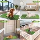Artificial Grass Mat, Dog Grass Pee Pads, Fake Grass Pad for Pets Potty Training, Soft Grass Pad Rug, Grass Doormat with Drainage Holes, Pet Turf for Indoor Outdoor Use, Washable(15.7"*39.4")