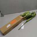 3 Pack Faux Snake Plants 31in Artificial UV Resistant Snake Outdoors Fake Sansevieria Plastic Plant with Large Green Leaves Greenery for Home Indoor Floor Office Store Front Porch Decorations