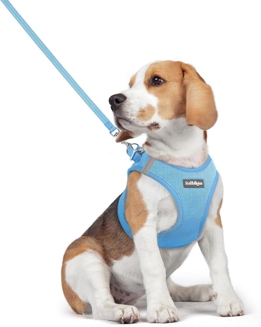 rabbitgoo Dog Harness Small Medium Sized and Leash Set, Step in Soft Light Puppy Vest, Breathable Mesh Pet Harness, Reflective for Safe Easy Walking, (Blue, L (chest: 18.2 - 20.5"))