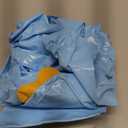 1 Random Intex Animal Split Ring