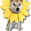 ComfyCamper Sunflower Dog Costume for Small Medium Large Dog Puppy Puppies Cat Kitten – Cute Head Flower Headband Outfits – Collar Cone Costume Hat Sombrero Outfit Pet Cosplay Halloween (X-Large)