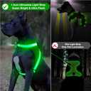 ChalkLit Light Up Dog Harness, No Pull Led Dog Harness Glow-in-The-Dark for Night Walking, USB Rechargeable Lighted Safety Vest for Medium Large Dogs, Adjustable Soft Mesh Fully Illuminated(Green, XL)