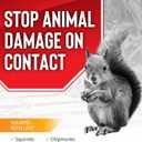 Squirrel Stopper Repellent Spray - Chipmunk & Squirrel Deterrent for Bird Feeders, Garden & Homes - Weather-Resistant Formula - Scent, Taste & Touch Barrier - Safe Around Kids & Pets - 1 Gallon