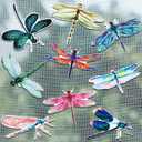 18 Pieces Dragonfly Screen Door Magnets Double Sided Decorative Magnetic Flexible Screen Door Protector for Pet Dog Sliding Door Garage Patio Window Decoration, 9 Styles