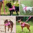 SlowTon No Pull Dog Harness - Heavy Duty Dog Harness and Leash Set for Medium Large Dogs, Reflective Tactical Harness with Soft Padded and Front Clip for Easy Walk and Training (Fuchsia L)