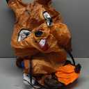 JUROSAICA Thanksgiving Inflatable Squirrel Costume Adult Funny Ride On Blow Up Animal Suit Halloween Costume Christmas Gift For Men Women