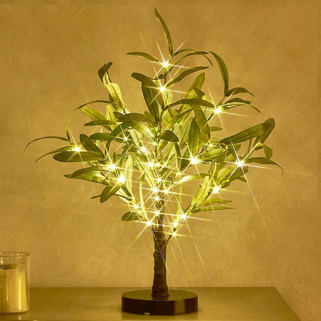 Hairui Lighted Small Olive Tree Battery Operated or USB 18in 50 Warm White LED with Timer, Light Up Table Top Artificial Greenery Tree with Fairy Lights for Wedding Holiday Home Christmas Decoration