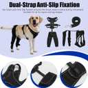 Dog Knee Brace with Adjustable Support Acl Hind Leg for Support with Cruciate Ligament Injury, luxating Patella,Arthritis,Dog Acl Knee Brace with Dog Chest Harness, Medium
