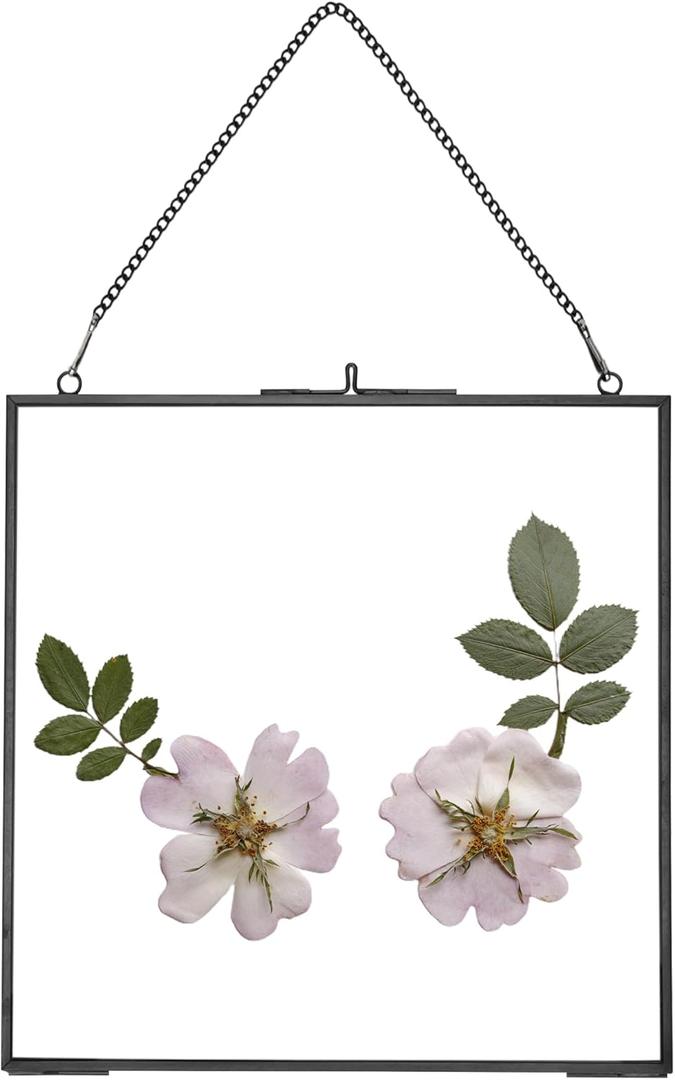 Glass Pressed Flower Frames,Vintage Hanging Picture Frames with Chain,Handmade Brass Floating Picture Frame,Plant Specimen Wall Ornament Display DIY Family Photo,Square,Black,8x8 Inches (8L" x 8W")